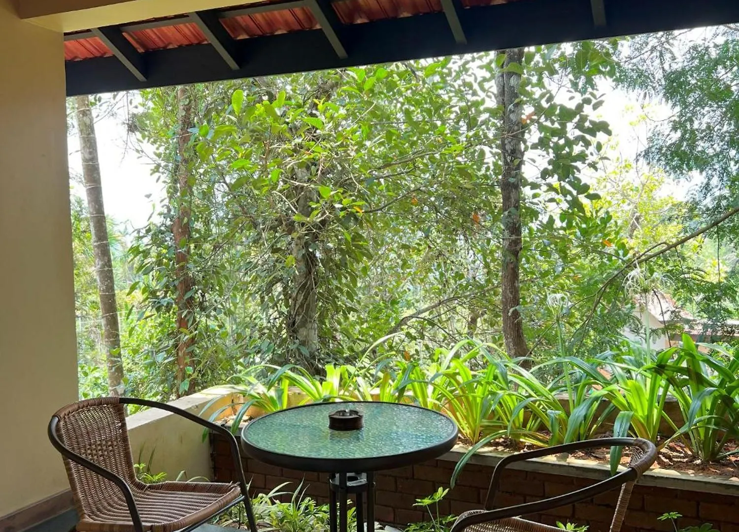Bed & Breakfast Tangerine Tales Boutique Resort By Lexstays Wayanad Indien